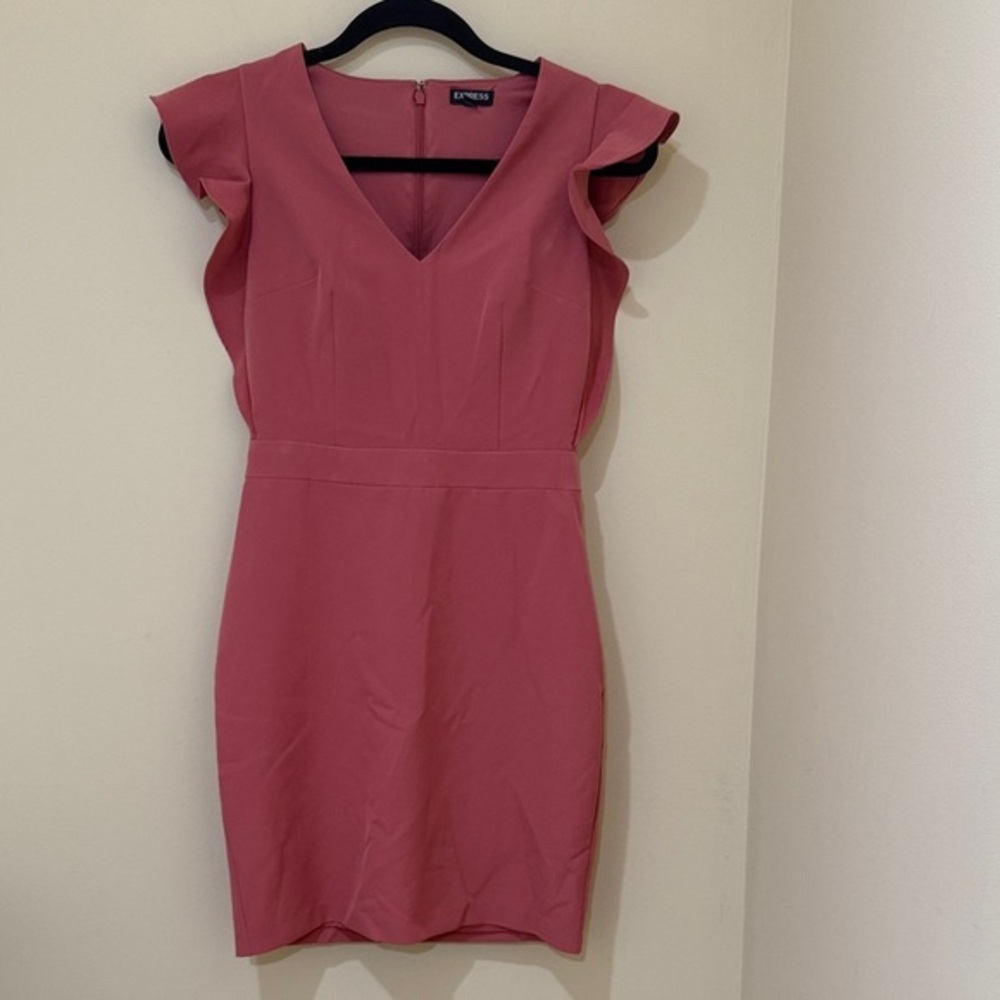 Express Rose Mini women’s classic Dress with Flutter Sleeves Size 0